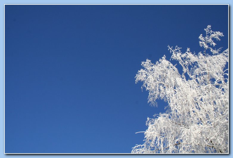Arnhem Snow 159
